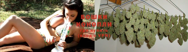 индика Козельск