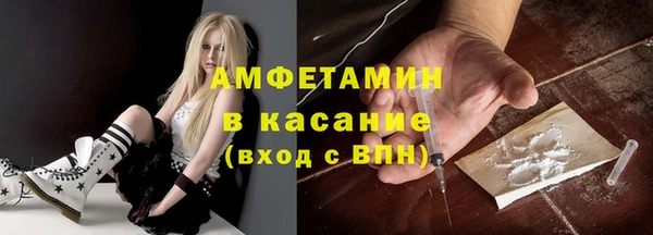 индика Козельск