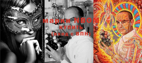 индика Козельск