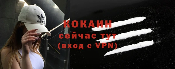 индика Козельск