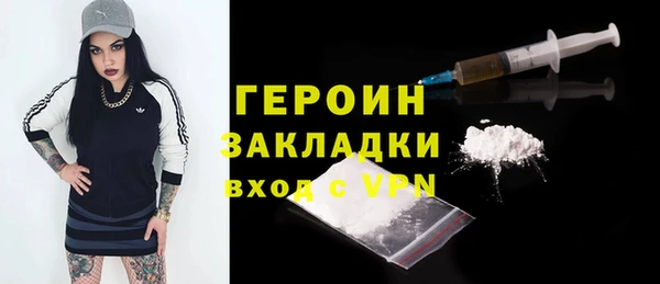 индика Козельск
