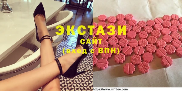 индика Козельск