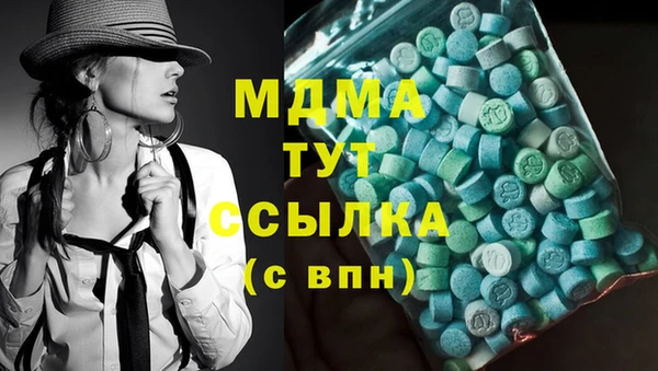 индика Козельск