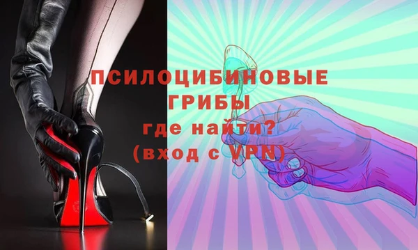твердый Каменногорск